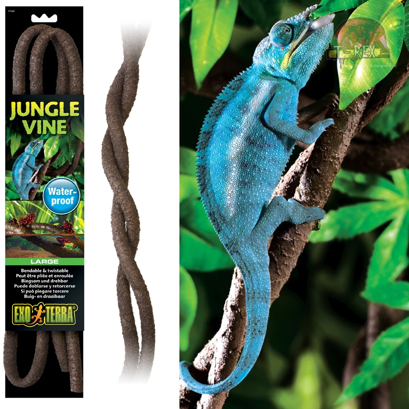 Tronco para Iguana