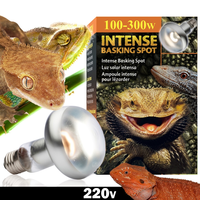 Lampada aquecer terrario dia