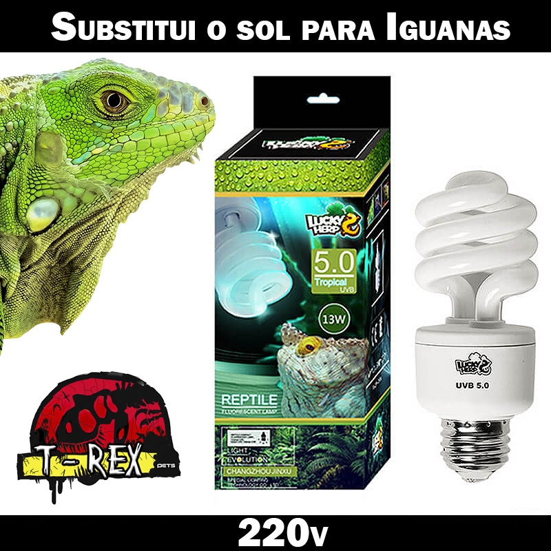Lampada para iguanas 220v