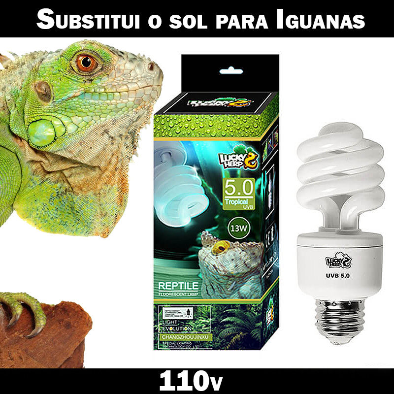 Lâmpada para Iguana
