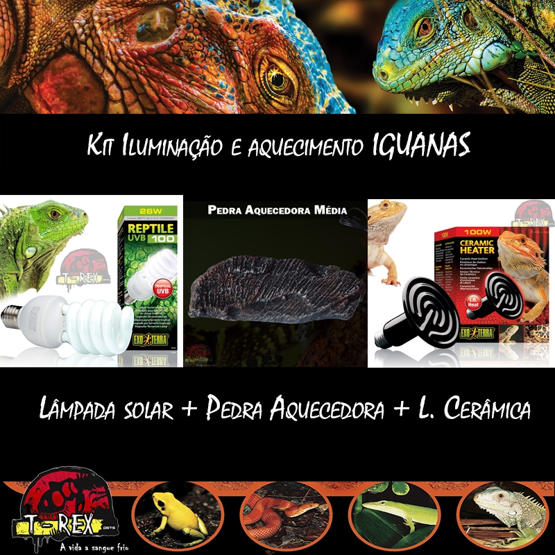 Aquecimento para Iguana