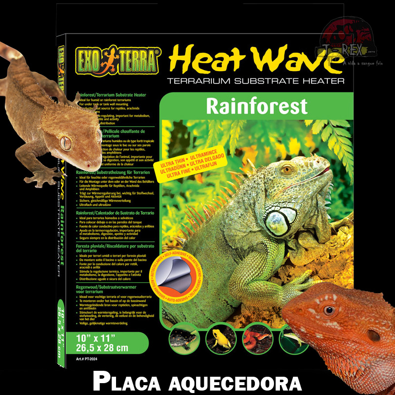 Placa aquecida Répteis