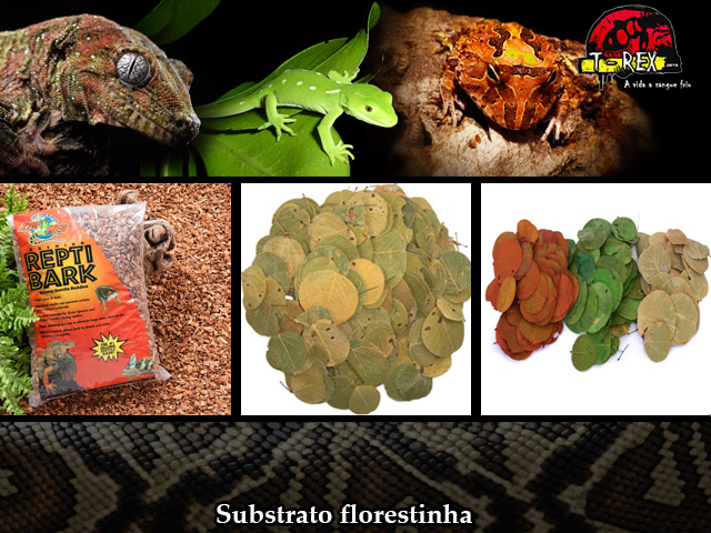 Substrato para Iguana