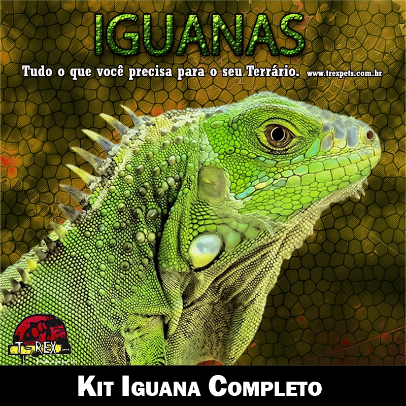 Venda de Iguana lampada