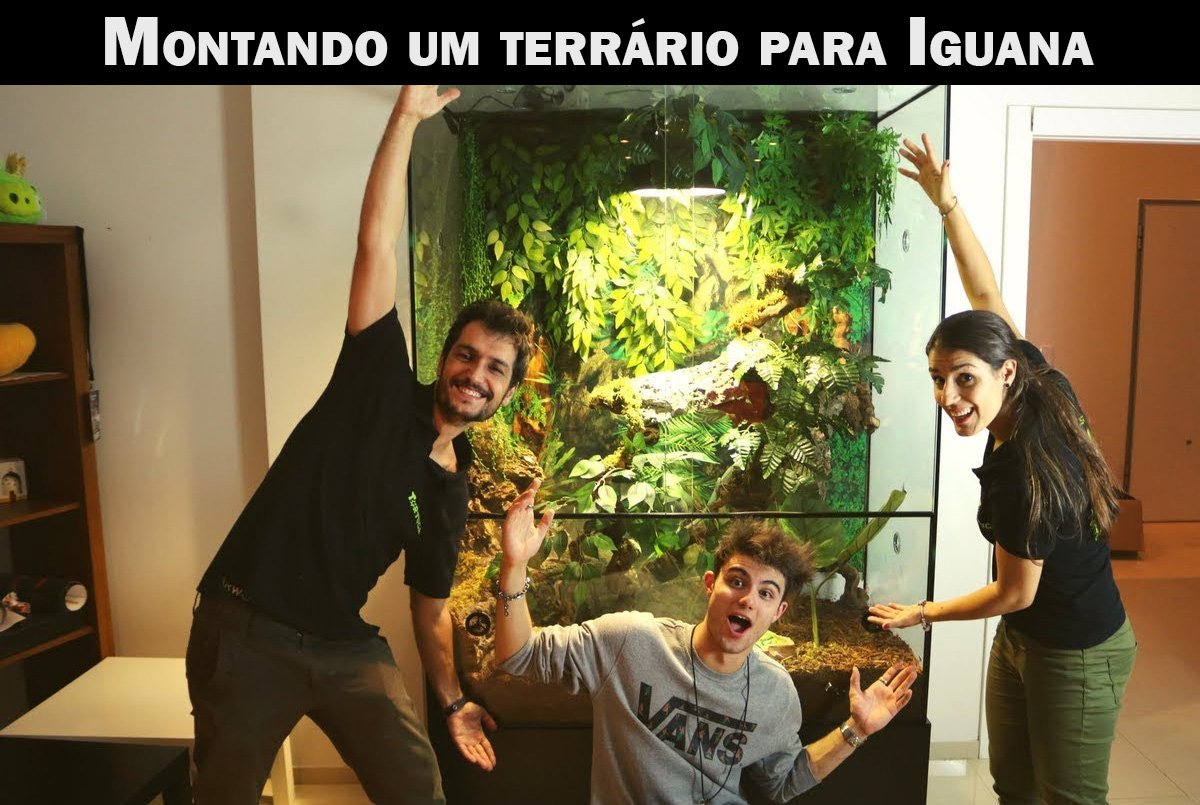 Venda de Iguana Terrário