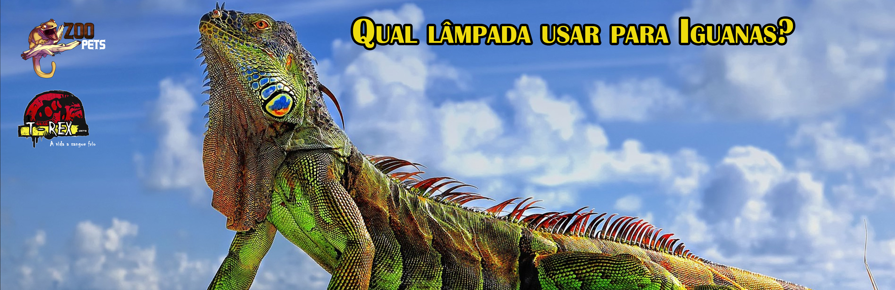 Lâmpada para Iguanas