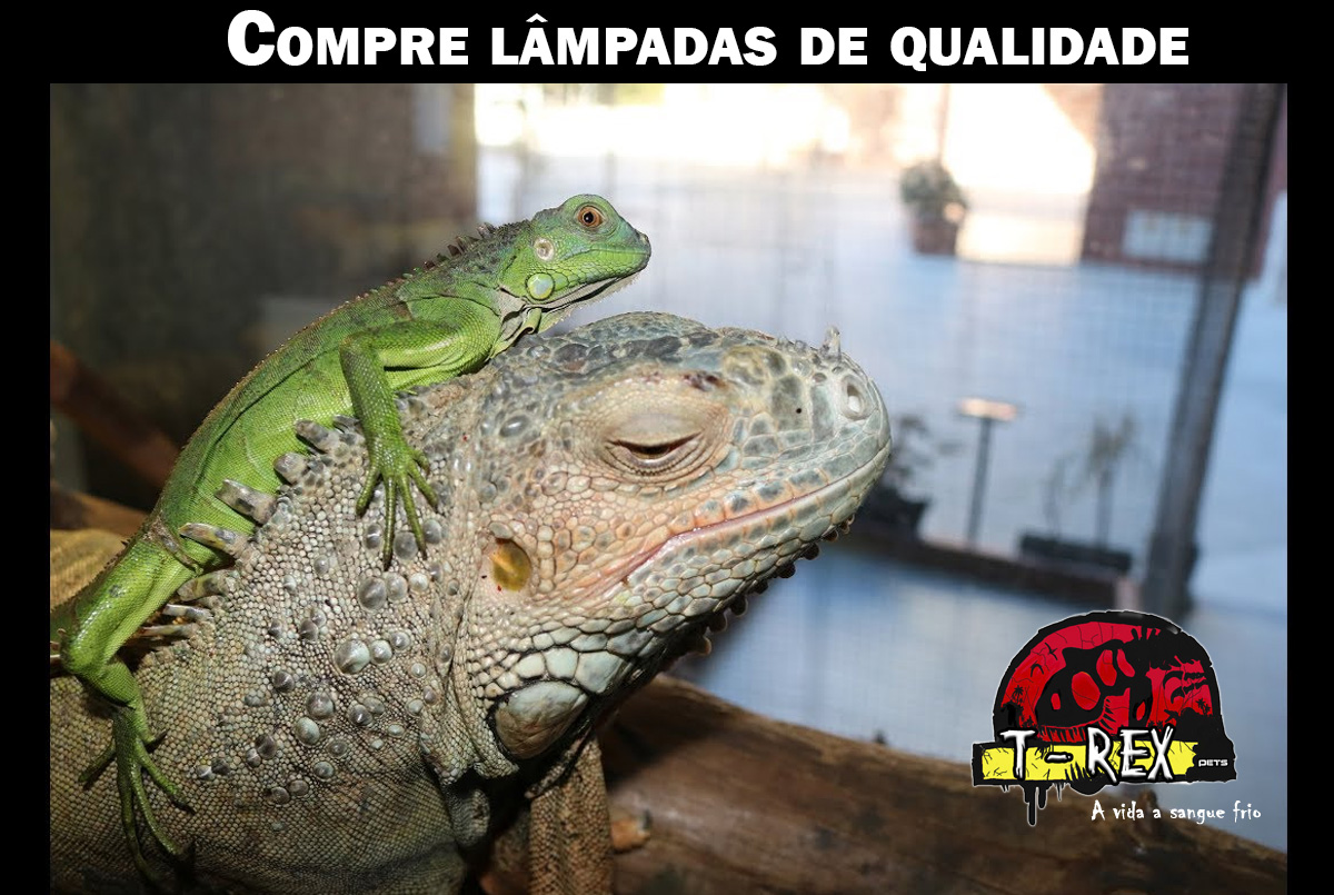 lampada para répteis Lâmpada para répteis