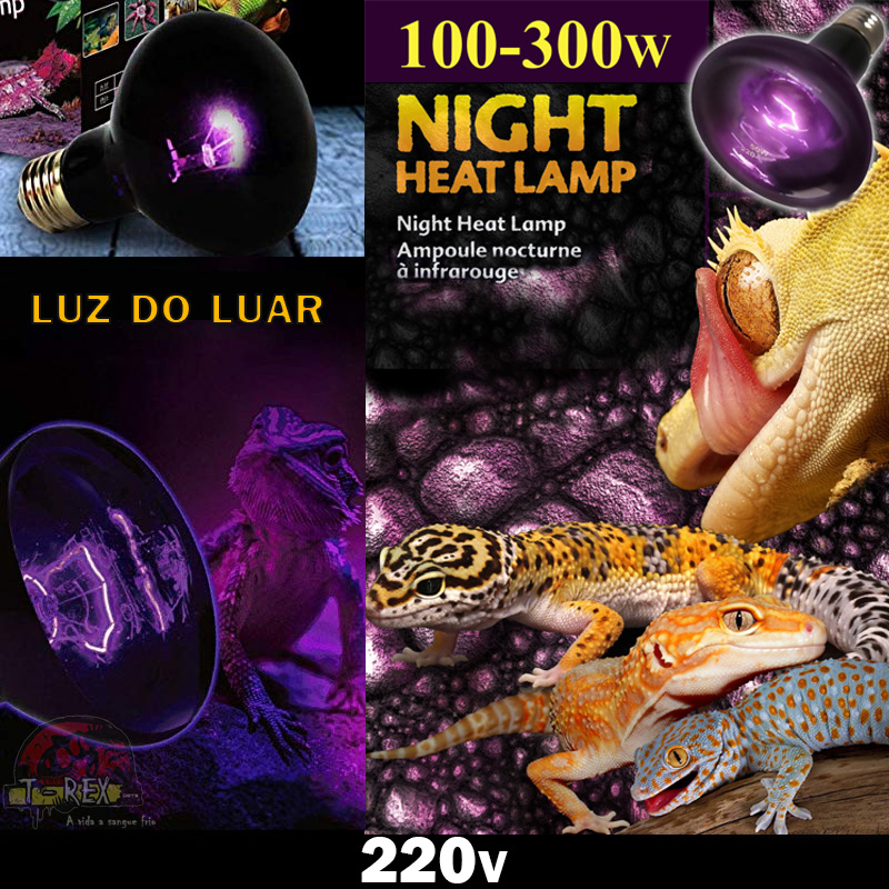 Lampada noturna Iguana Lampada aquecimento noite terrario