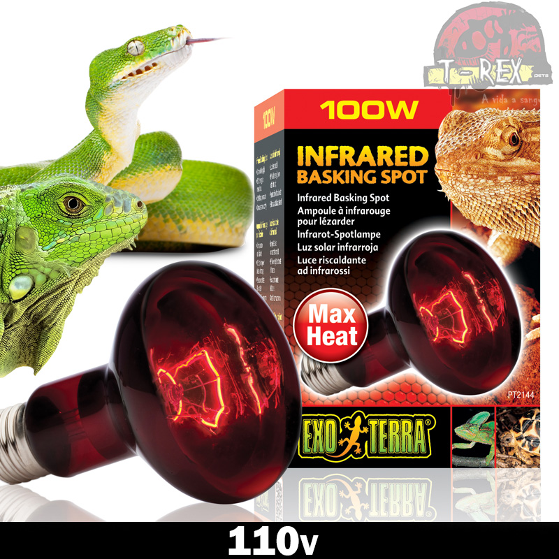 Lâmpada para aquecimento iguana Lâmpada para iguana aquecimento