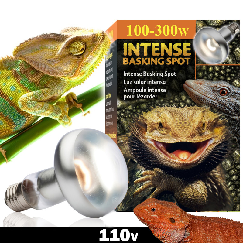 comprar lampada iguana comprar lampada iguana