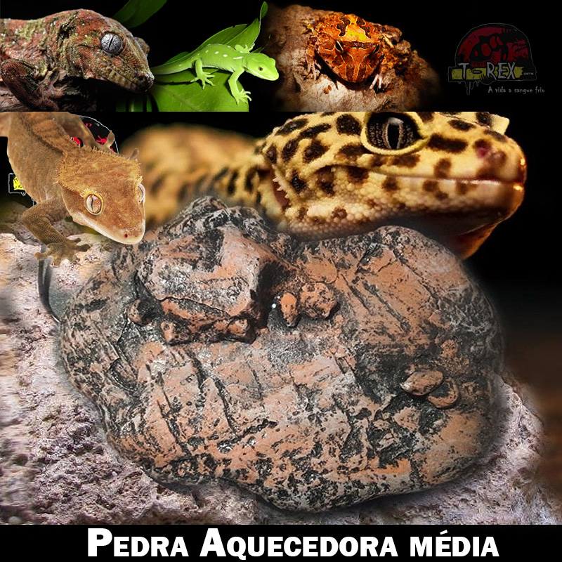 pedra aquecida para cobras pedra aquecida para cobras