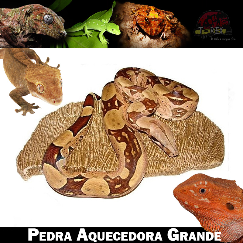 pedra aquecida para repteis Pedra aquecida para repteis