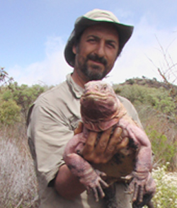 Gabriele Gentile (imagem Rientro dei Cervelli)